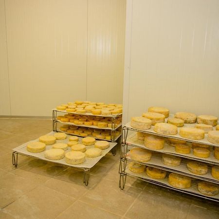 ホテル A Queijaria Barreira  エクステリア 写真