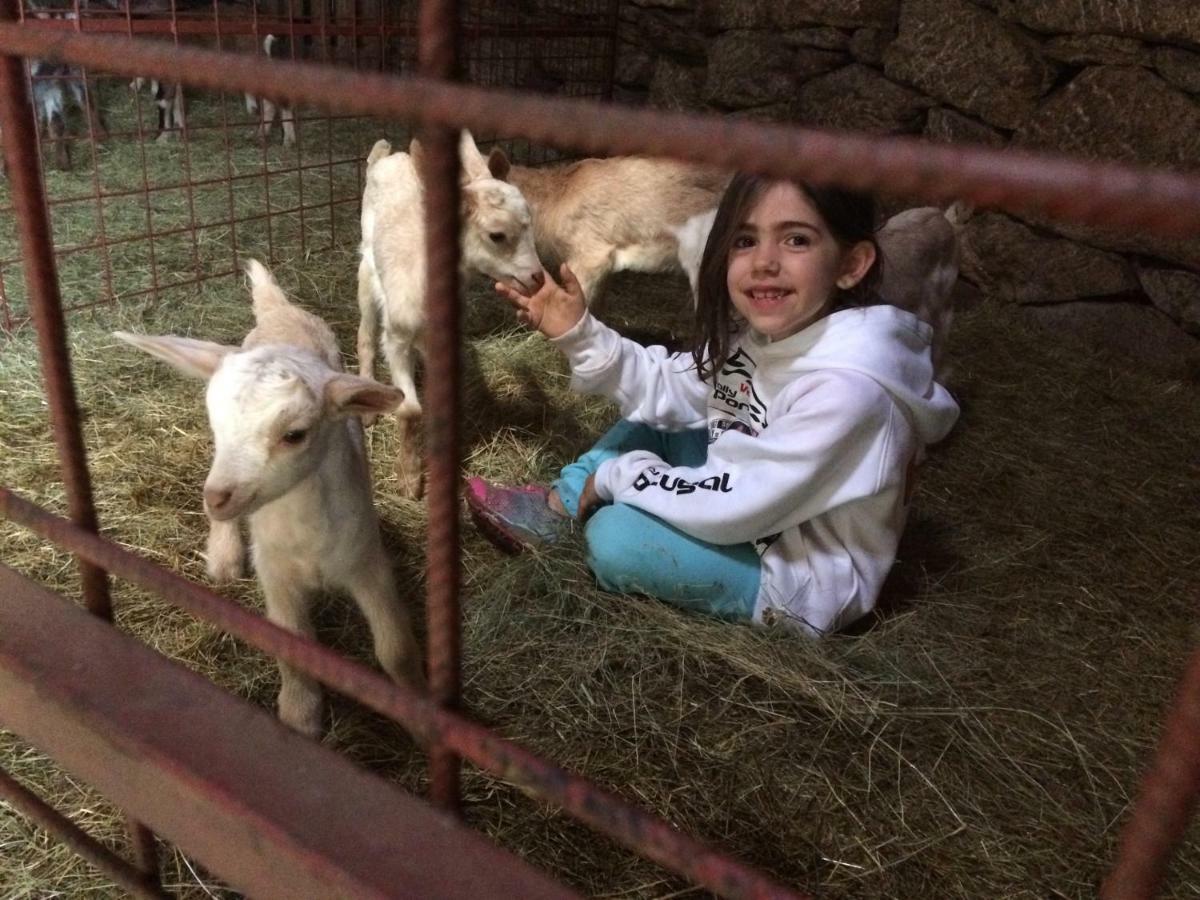 ホテル A Queijaria Barreira  エクステリア 写真