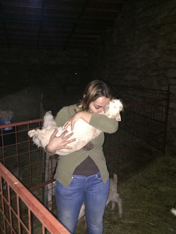 ホテル A Queijaria Barreira  エクステリア 写真
