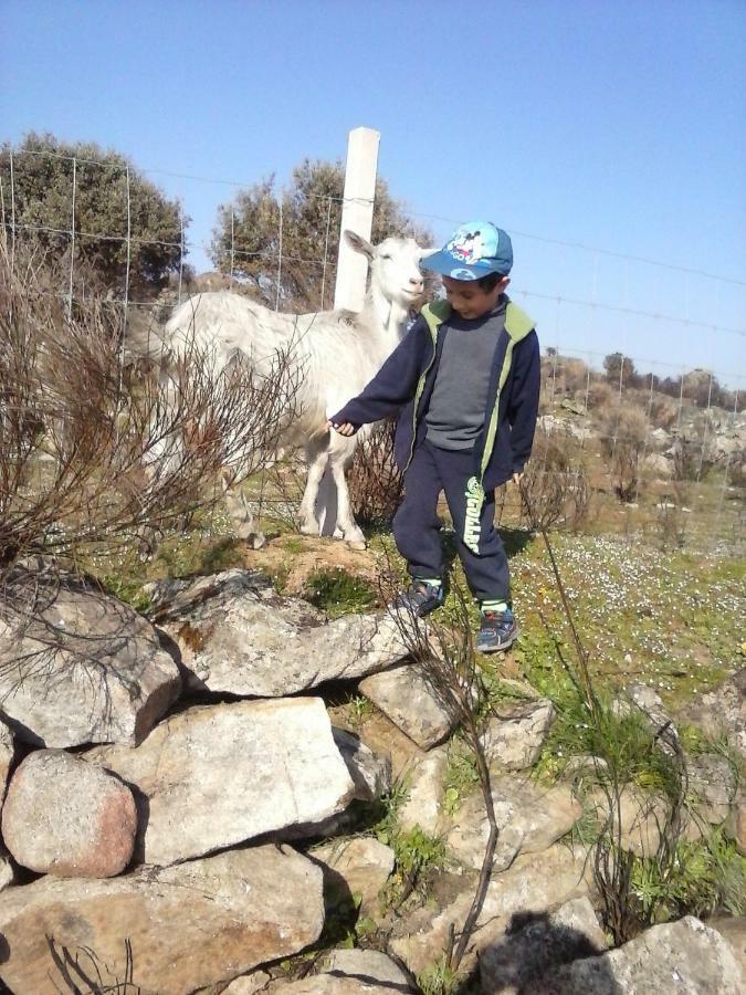 ホテル A Queijaria Barreira  エクステリア 写真